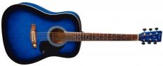 Акустическая гитара Tenson D-10 PS501315 (F501315)