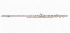 Флейта ARMSTRONG 102E