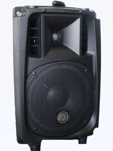 Активная акустическая система L-Audio NG-08A
