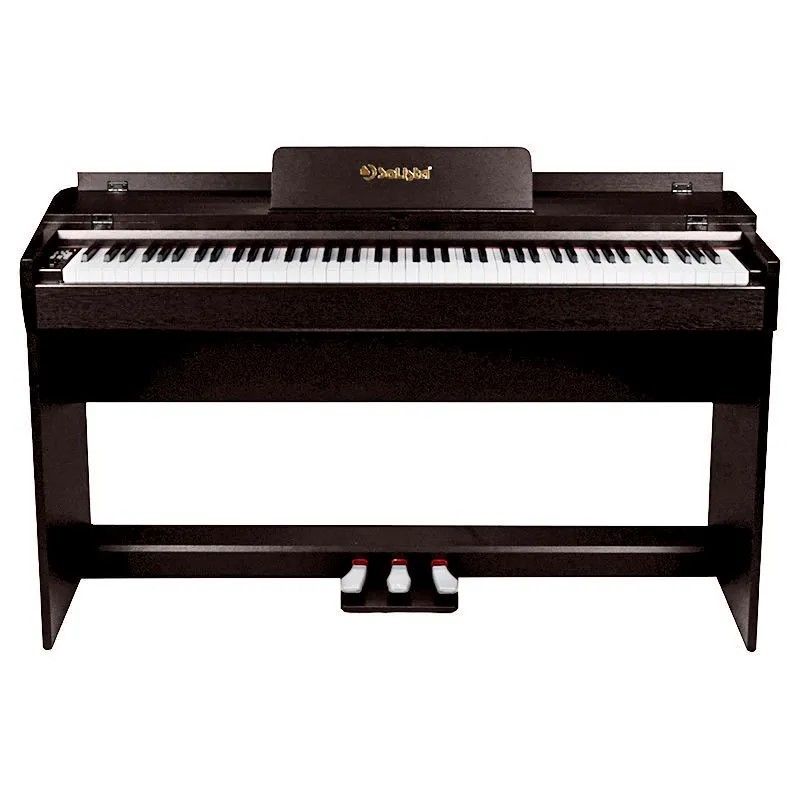Фортепиано цифровое SOLISTA DP600RW